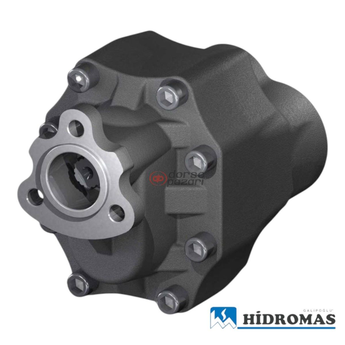 DP 30-82 T1 ÇİFT DÖNÜŞLÜ (YAN G-Ç) DİŞLİ POMPA