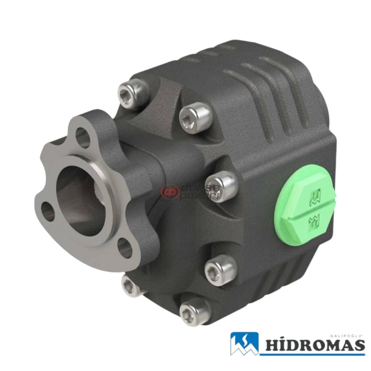 DP 30-43 T1 SOL DİŞLİ POMPA