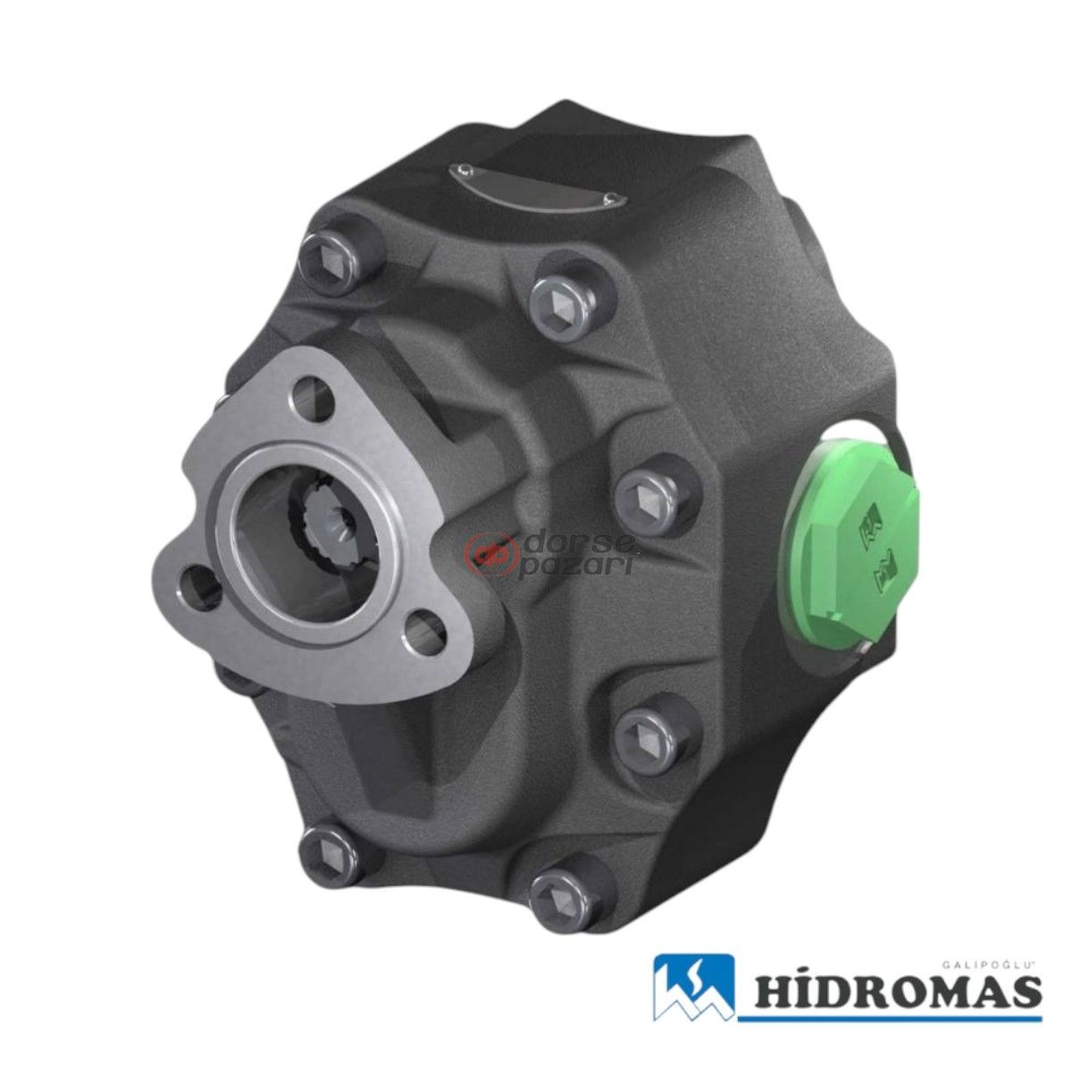 DP 30-55 T1 ÇİFT DÖNÜŞLÜ (YAN G-Ç) DİŞLİ POMPA